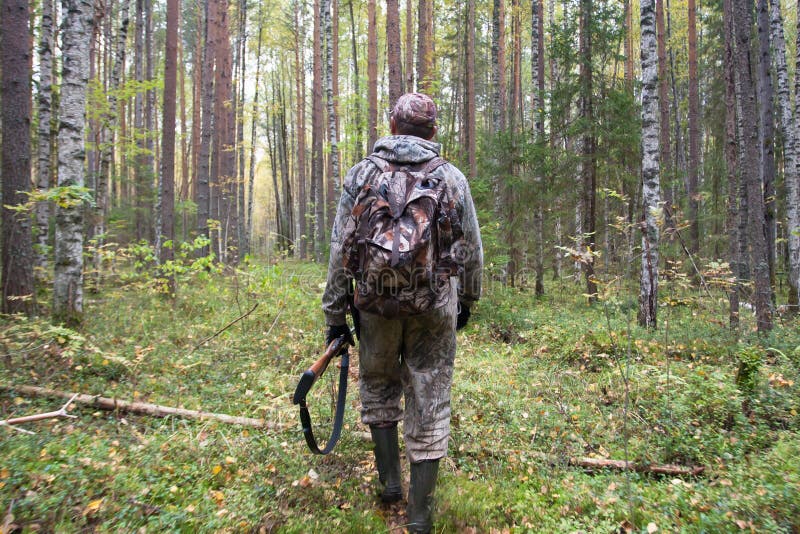 Hunter Walking in the Autumn Forest Stock Image - Image of backpack ...