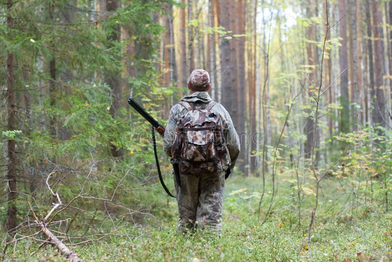 Hunter in the woods stock photo. Image of male, hobby - 103052308