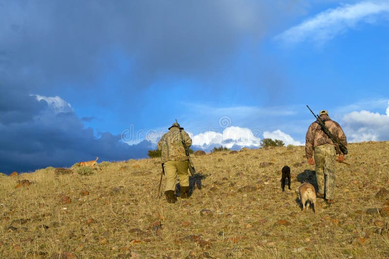 Hunters with dogs walking for hunting royalty free stock photo Hunters with dogs walking for hunting royalty free stock photo