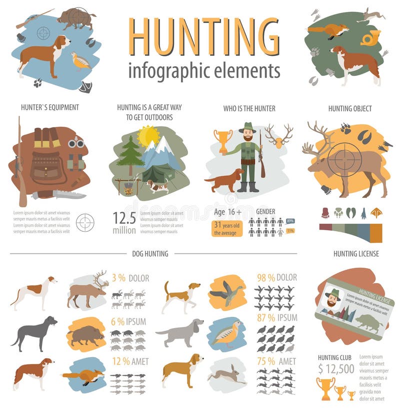 Hunting Infographic Template. Dog Hunting, Equipment, Statistical Data