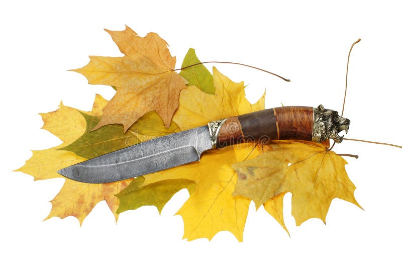 The hunting knife