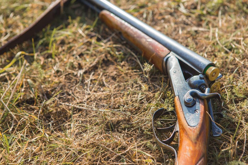 Hunting Rifle on Grass. the Beginning of the Hunting Season is Open