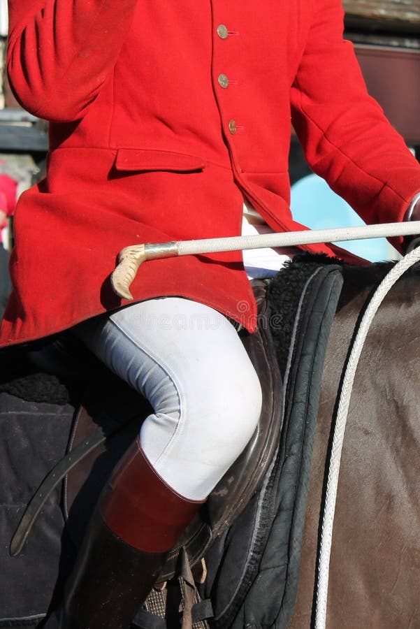 fox hunt Huntsman ready horse whip jacket stock, photo, photograph, image, picture stock image fox hunt Huntsman ready horse whip jacket stock, photo, photograph, image, picture stock image