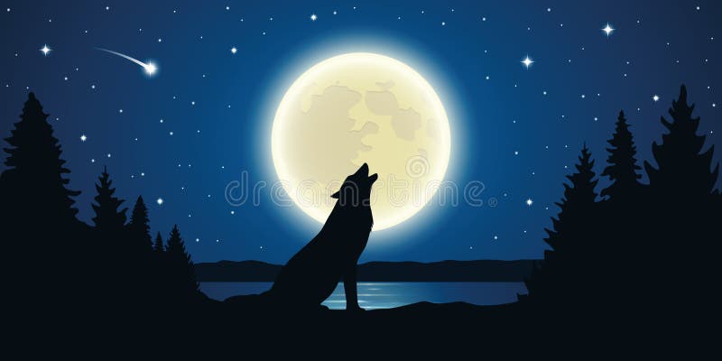 Hurlements de loup à la pleine lune dans une nuit étoilée illustration stock Hurlements de loup à la pleine lune dans une nuit étoilée illustration stock