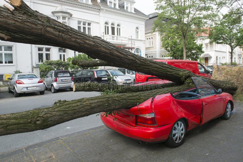 Auto spadlo z padlý strom během Hurikánu v Düsseldorf, Německo.