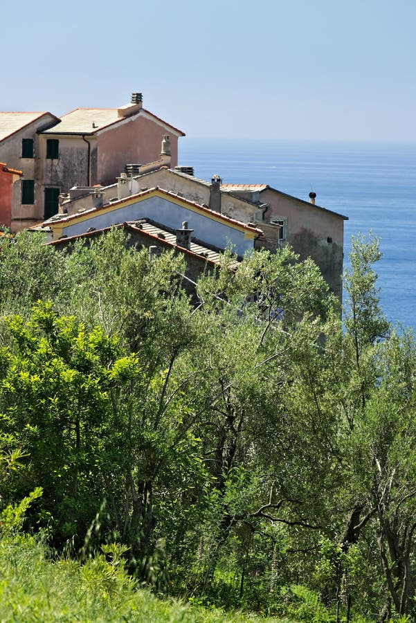 Hus i byn av Framura, nära Cinque Terre arkivfoton Hus i byn av Framura, nära Cinque Terre arkivfoton