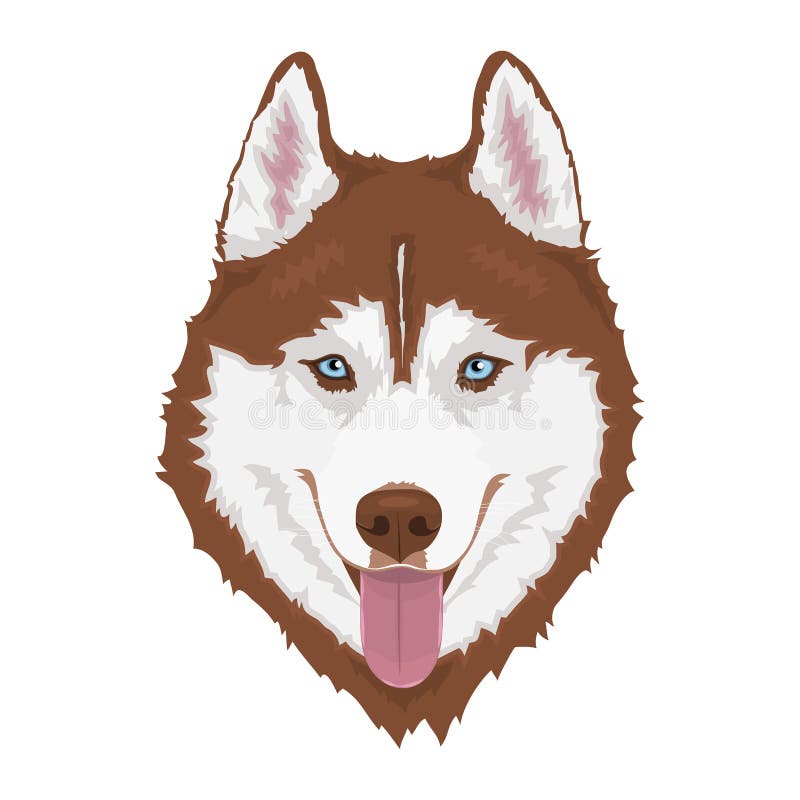 husky siberian för hund royaltyfri illustrationer husky siberian för hund royaltyfri illustrationer