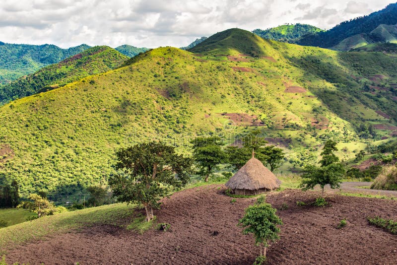 Hut in de bosreserve van Bonga in zuidelijk Ethiopië