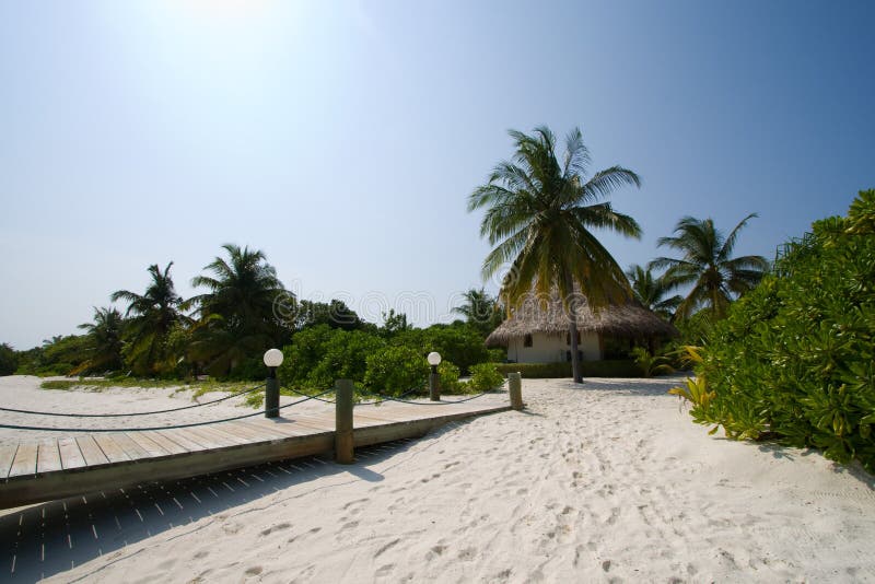 Hut on the tropic island stock photos