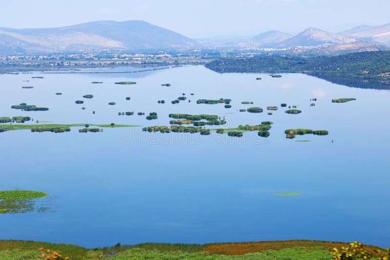 Hutovo Blato, naturreserv och fågelreserv arkivfoto Hutovo Blato, naturreserv och fågelreserv arkivfoto