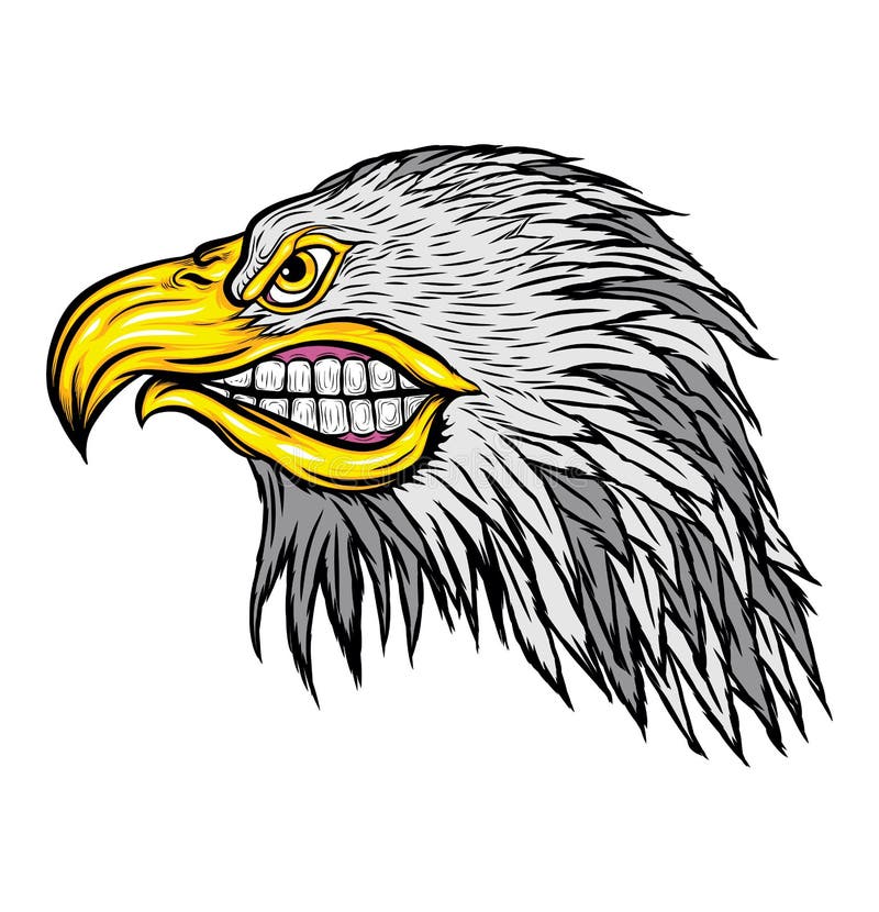 Huvud av Eagle Angry Face, vektorillustration, isolerad vektor vektor illustrationer