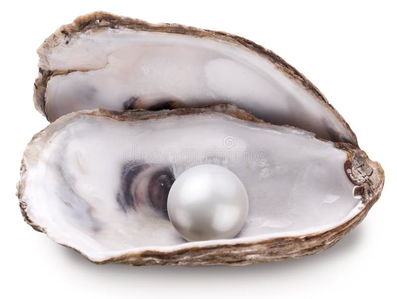 Open oyster with pearl isolated on white background. Open oyster with pearl isolated on white background.