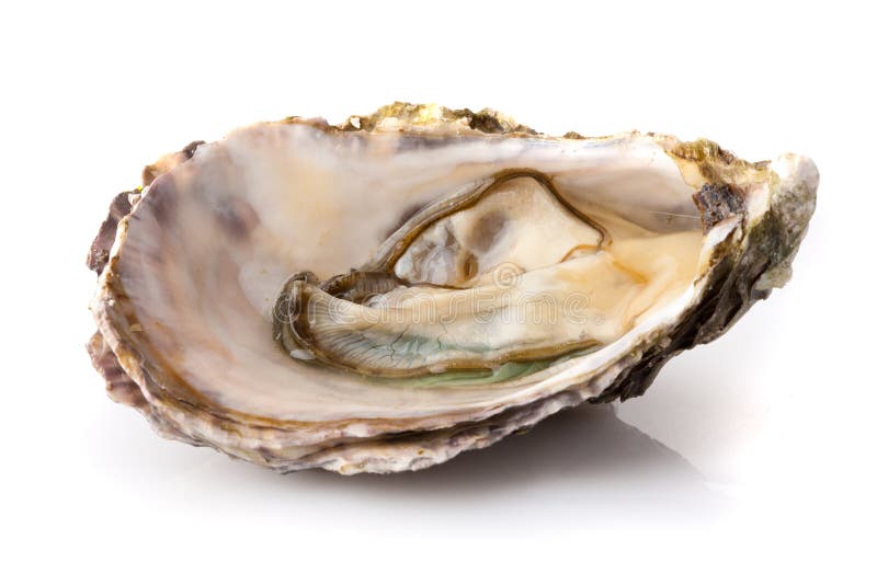 Huître fraîche Huître fraîche