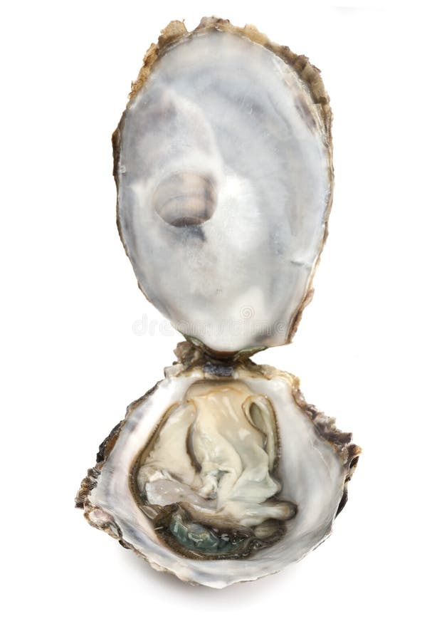 Huître ouverte fraîche image stock. Image du savoureux 51801633
