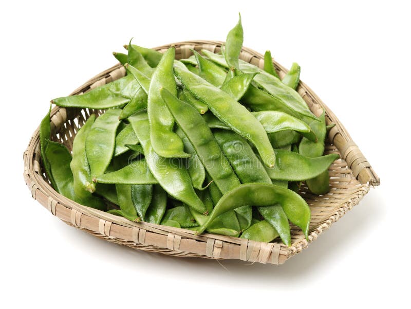 Hyacinth bean