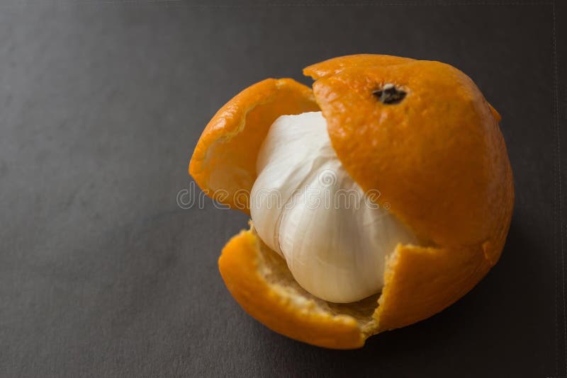 In the orange skin from under the sweet mandarin hides a garlic bulb. Unpleasant surprise, a dirty trick, deceived expectations. Dark background. In the orange skin from under the sweet mandarin hides a garlic bulb. Unpleasant surprise, a dirty trick, deceived expectations. Dark background