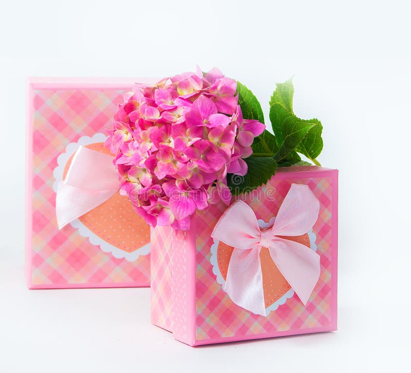 Hydrangea Flower and Gift Box Stock Image Image of flower, gift 56369549