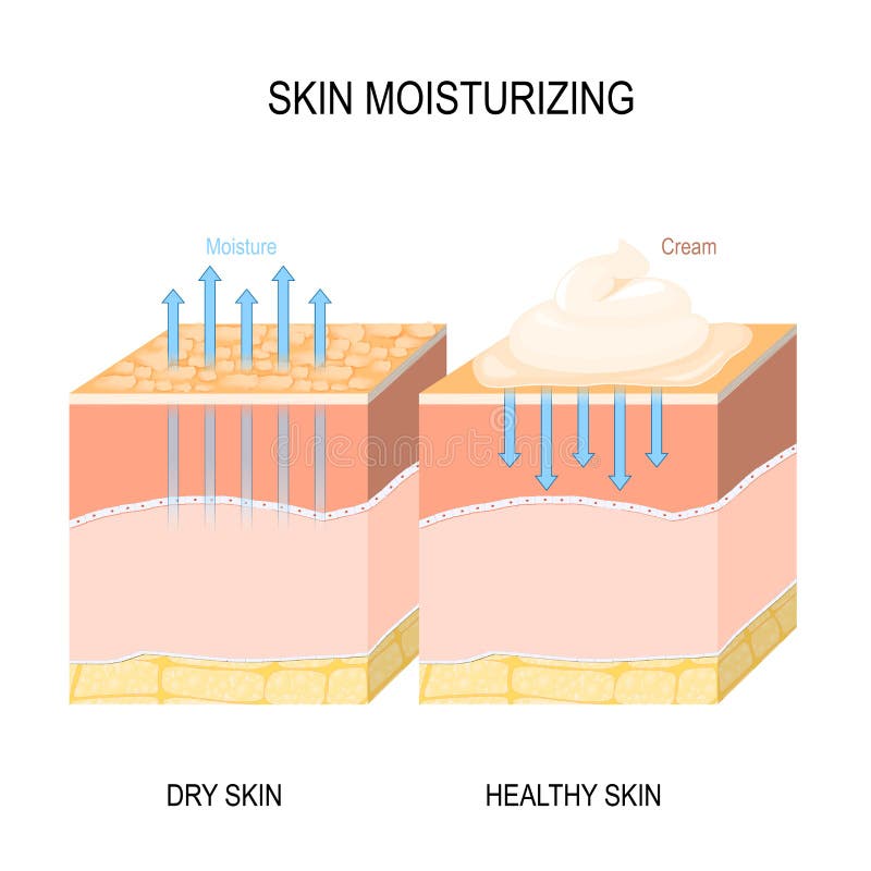 Hydrater de peau Peau sèche et saine avec de la crème, la mousse ou la lotion