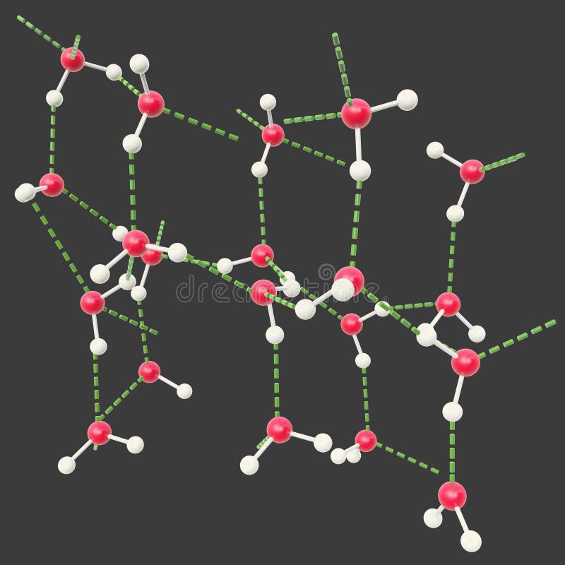 Hydrogen bond water molecules