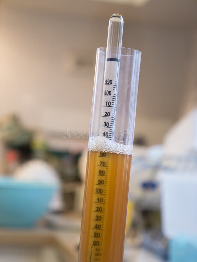Hydrometer Used To Measure the Specific Gravity of Wine and Beer Stock
