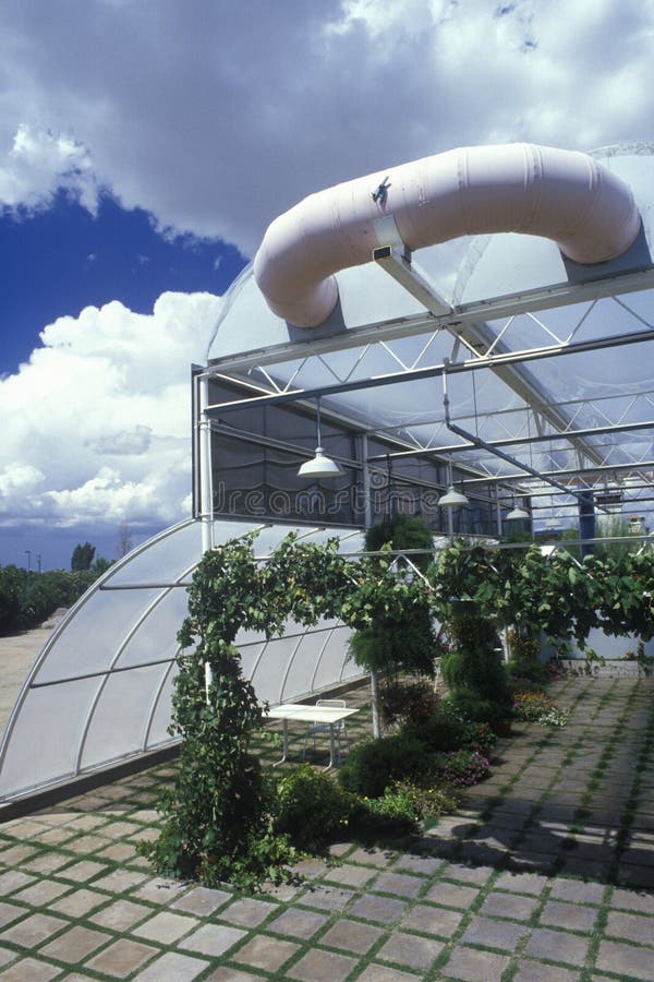 Hydroponic lantbruk på universitetet av Arizona den miljö- forskningslaboratoriet i Tucson, AZ fotografering för bildbyråer Hydroponic lantbruk på universitetet av Arizona den miljö- forskningslaboratoriet i Tucson, AZ fotografering för bildbyråer
