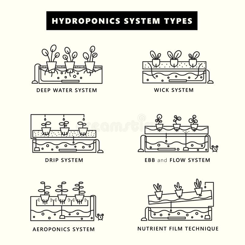 Hydroponics system types. Icon set in outline style.