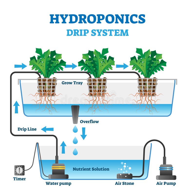 Diagram of a Hydroponics Setup Stock Vector Illustration of isolated
