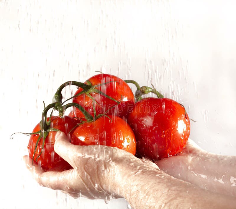 Salsa stock photo. Image of hygiene, droplet, pour, moment 526586