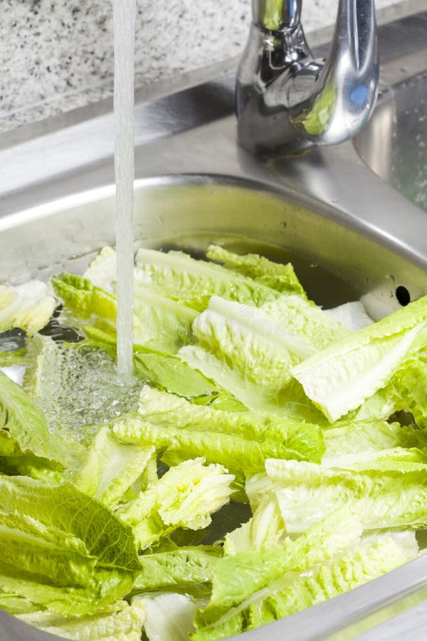 Washed and Sanitized Lettuce. Drops of Water and Pieces of Lettuce in ...