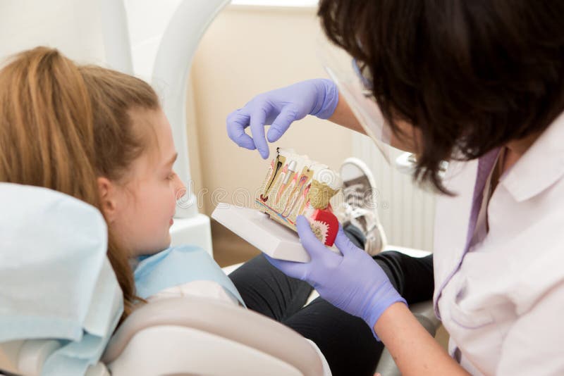 Hygiène dentaire Dentiste démontrant le brossage de dent photographie stock Hygiène dentaire Dentiste démontrant le brossage de dent photographie stock