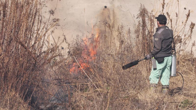 Hyogo japon 5 février 2003 : pompier avec lance-flammes tire à feu contrôlé pour brûler de grandes herbes par les terres agricoles