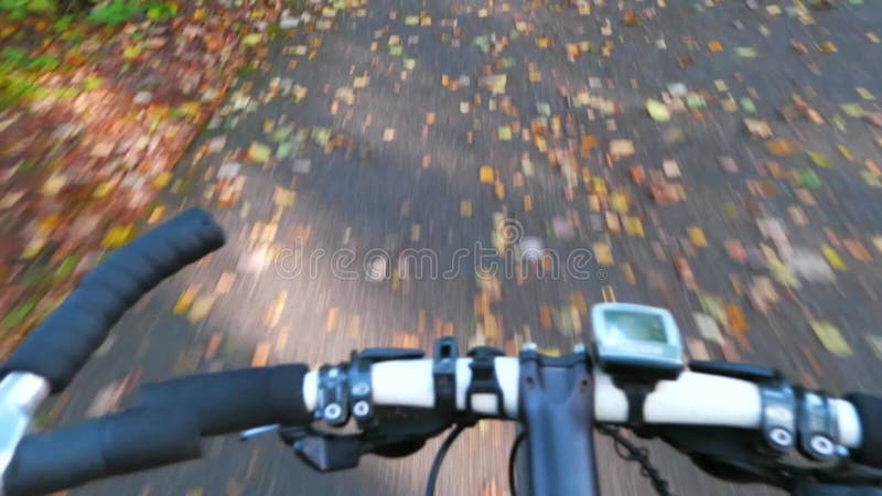 Hyperlapse pov - weergave motorfiets. eén caucasiër - kind rijdt fietsweg in het najaar park. zwarte witte mtb cyclus