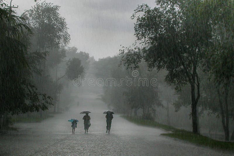 häftigt regn royaltyfri foto häftigt regn royaltyfri foto