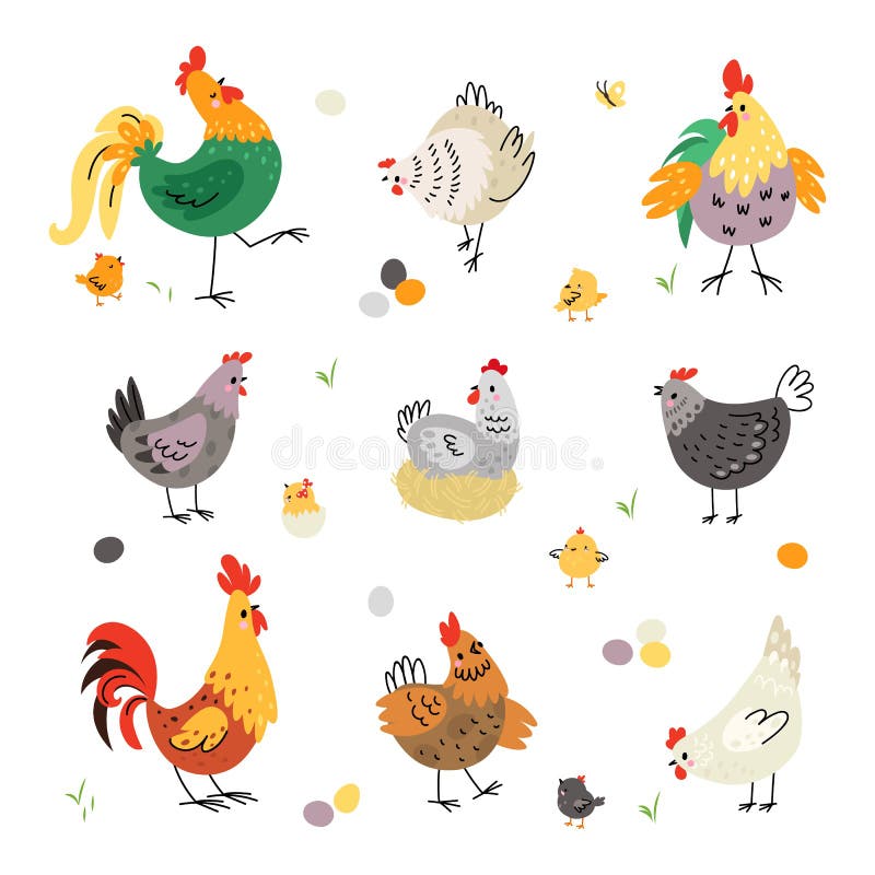 Chicken birds, hen and rooster. Poultry breeding, yellow cartoon cute chick. Farm birds in various poses, eggs and chickens. Nowaday vector agriculture animals of hen and chicken poultry illustration. Chicken birds, hen and rooster. Poultry breeding, yellow cartoon cute chick. Farm birds in various poses, eggs and chickens. Nowaday vector agriculture animals of hen and chicken poultry illustration