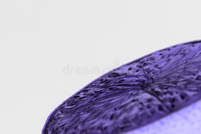 Hälfte saftiger Kalk in der abwechselnden Neonfarbe lizenzfreie stockfotografie