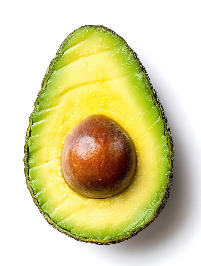Hälften av en mogen avocado Persea americana visas med fröet intakt. Den vektor illustrationer
