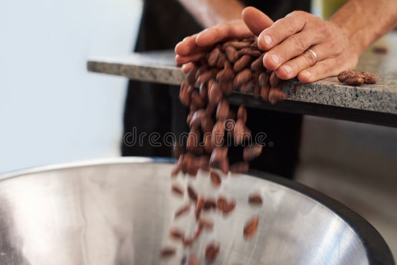 Hällande kakaobönor för arbetare in i en bunke för chokladproduktion