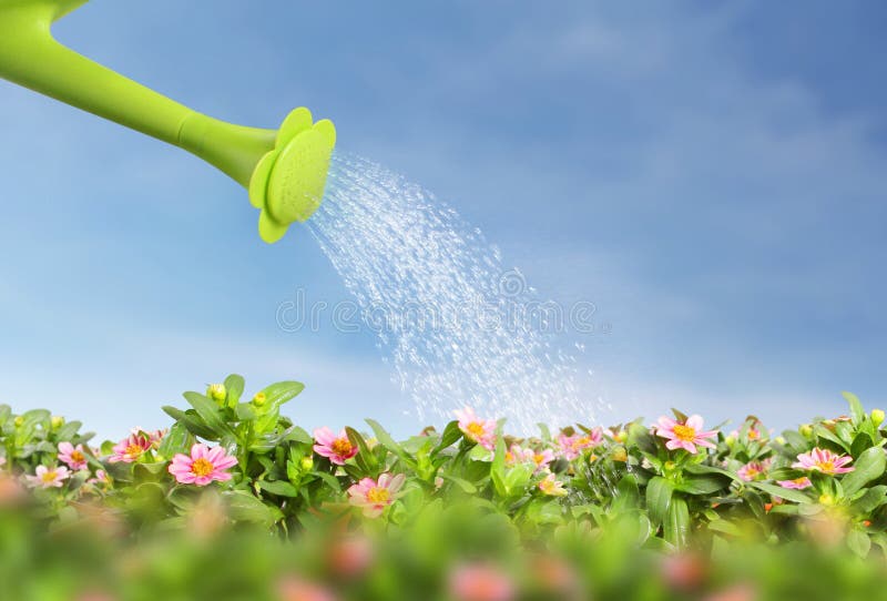 Hällande kan bevattna för vatten på att blomma blomman stock illustrationer Hällande kan bevattna för vatten på att blomma blomman stock illustrationer