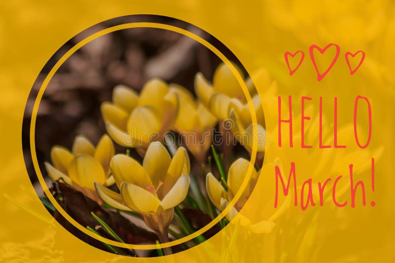 Greeting card hello march Welcome card the beginning of spring. Greetings to the spring. Greeting card hello march Welcome card the beginning of spring. Greetings to the spring