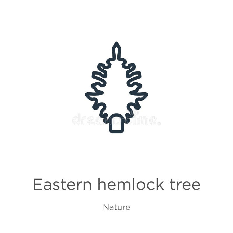 Hämmerbaum-Symbol Dünne linke, östliche Hämmerbaum-Umrisssymbol isoliert auf weißem Hintergrund von der Natursammlung Linie vektor abbildung