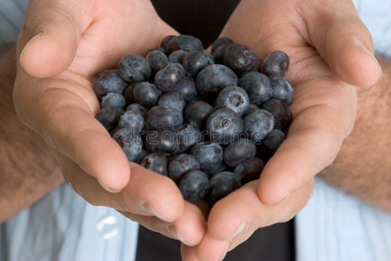 Hände, die Blaubeeren anhalten stockfoto Hände, die Blaubeeren anhalten stockfoto