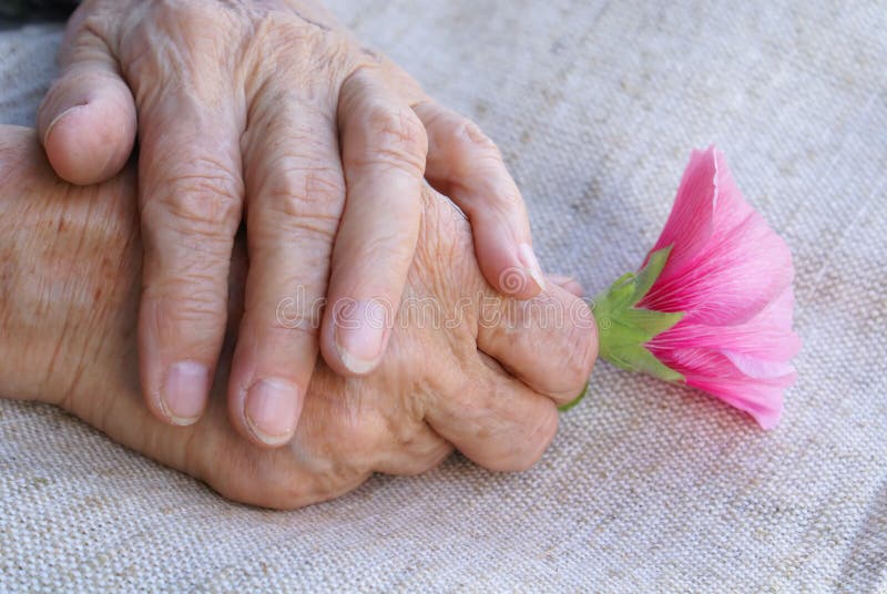 Hände, die Blume anhalten lizenzfreies stockbild Hände, die Blume anhalten lizenzfreies stockbild