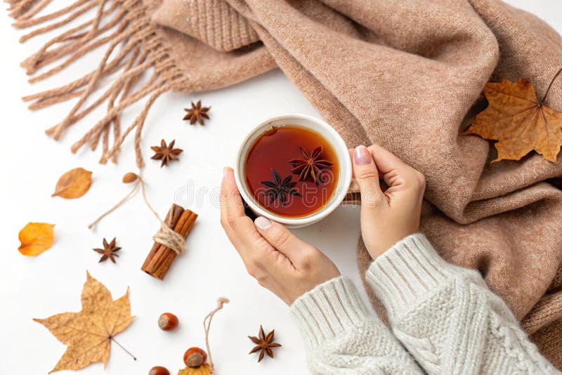 Hände mit einer Tasse Tee mit Zimt und Anise. Hände, die eine Tasse Tee mit Zimt und Anis halten, ideal für gemütliche Herbst- oder Winterprodukte