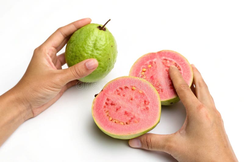Hände mit frischem Guava lizenzfreie abbildung