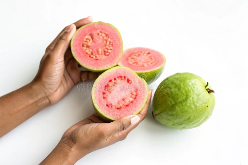 Hände mit frischem Guava vektor abbildung