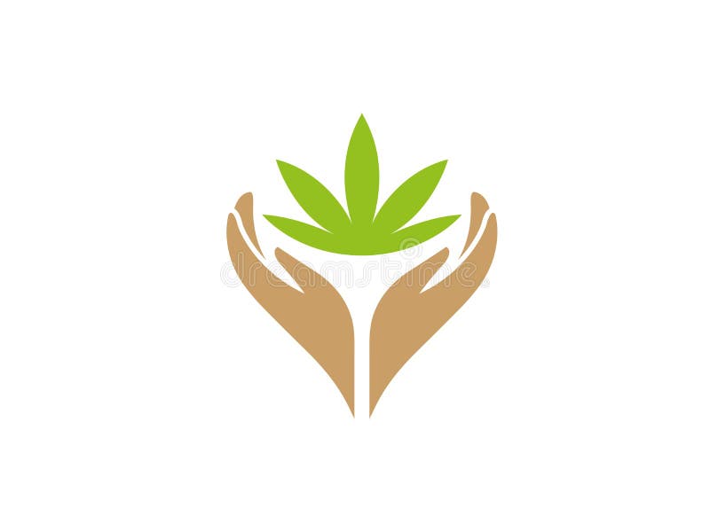 Händer och marijuanasidor med växtomsorg för logodesign royaltyfri illustrationer Händer och marijuanasidor med växtomsorg för logodesign royaltyfri illustrationer