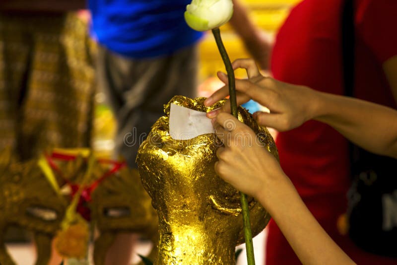 Händerna av flickan stänger den guld- plattan på Buddha arkivbilder