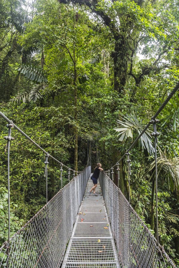 Hängande broar i den Costa Rica djungeln arkivfoton Hängande broar i den Costa Rica djungeln arkivfoton