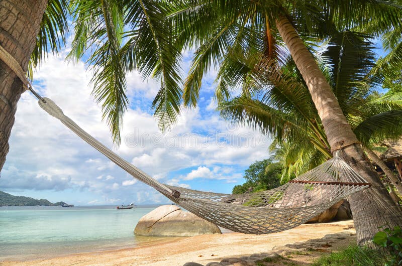 Hängmatta som hänger mellan palmträd på den sandiga stranden och havskusten arkivbild Hängmatta som hänger mellan palmträd på den sandiga stranden och havskusten arkivbild