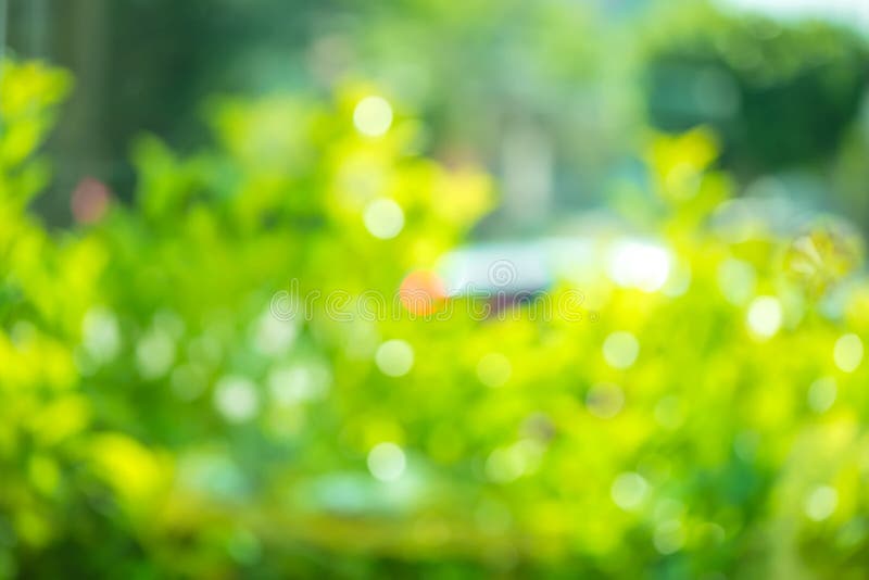 Härlig abstrakt för gräsplanbokeh för naturlig vår bakgrund, suddighet e royaltyfria foton Härlig abstrakt för gräsplanbokeh för naturlig vår bakgrund, suddighet e royaltyfria foton